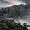 Cloud Forest & Coffee Jeep Safari