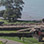 Fort Sherman, San Lorenzo, and Panama Canal Historical Tour
