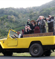 Excursión al Bosque Nuboso & Café en Jeep Safari