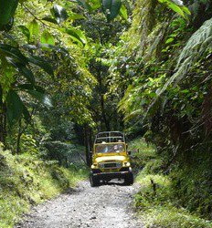 Excursión en Jeep por el Volcán Barú