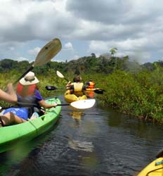 Excursión de Kayak en el Lago Gatún, el Canal de Panamá & la Isla de los Monos