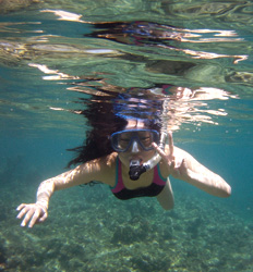 Día de Snorkel Desde la Ciudad de Panamá